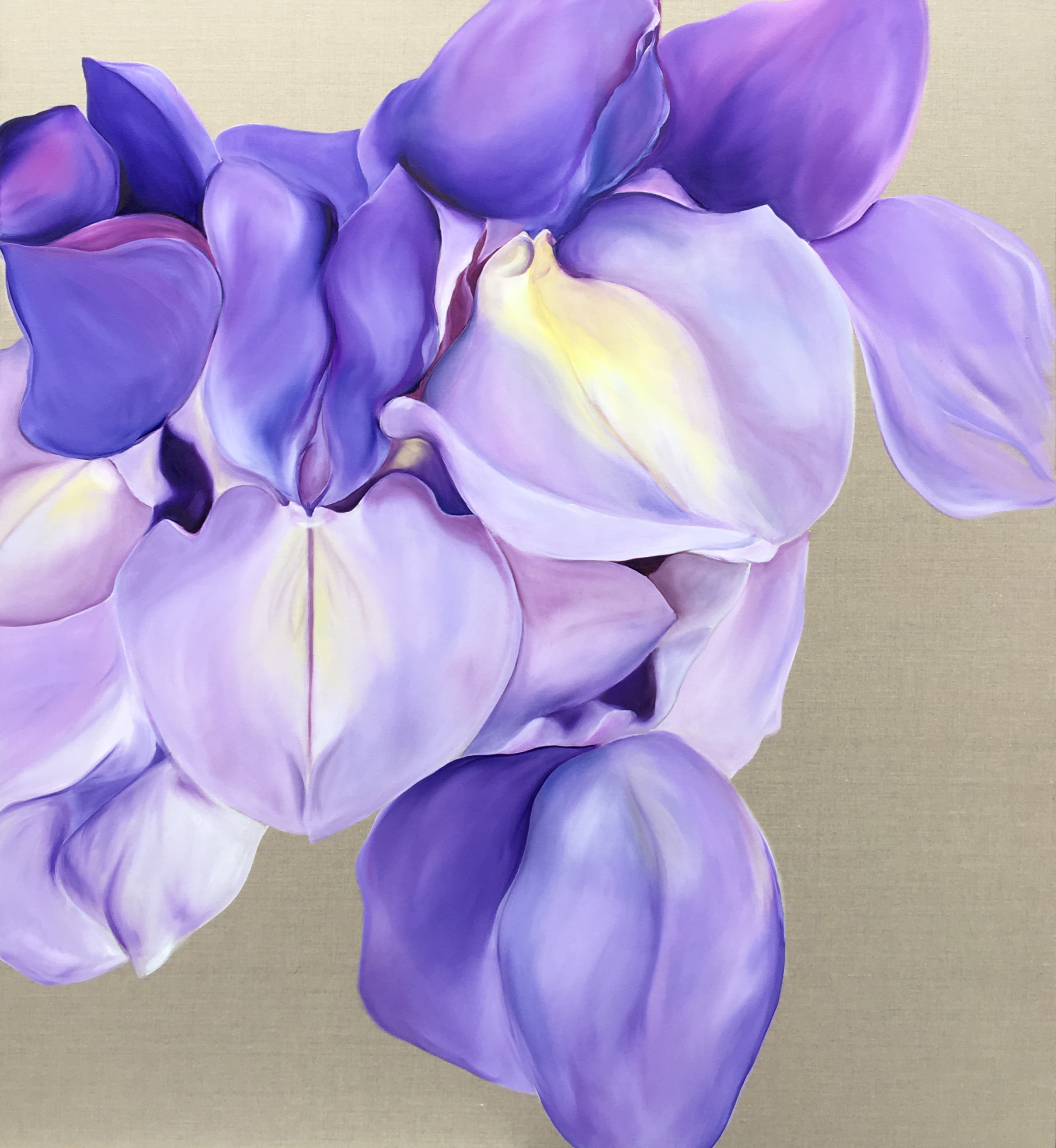   Wisteria  |  Canvas, 122cm x 138cm  
