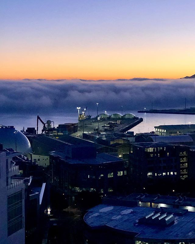 When you wake up to this view...
#thestatesmanapartments #apartment #auckland #citylife #oceanview #fog #aucklandcity #nz #newzealand 📷: @__lisa_w__