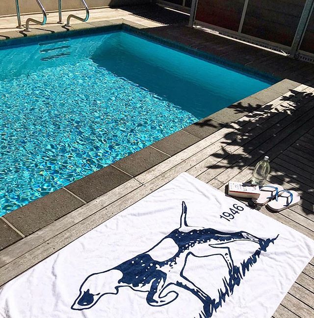 Weekends at The Statesman...
Thanks @caileanp for the shot!
#thestatesmanapartments #aucklandcity #citylife #apartmentliving #nz #poolside
