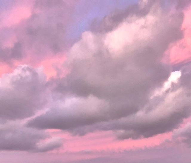 The Sky last night 💖
#thestatesmanapartments #clouds #sunset #pink #nz #aucklandcity #newzealand #nature #wanderlust