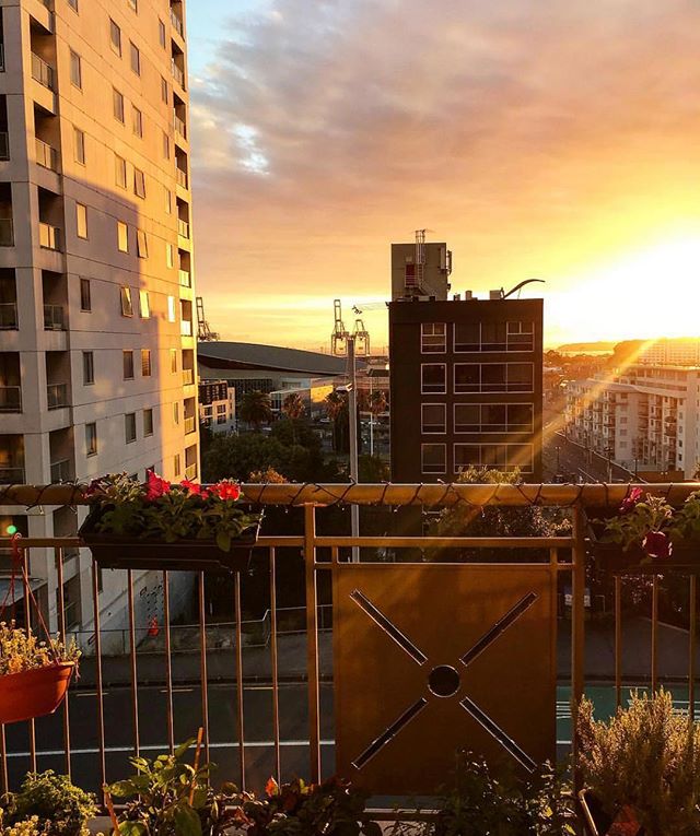 Stunning sunrise view from The Statesman apartments. Photo by @caileanp 
#sunrise #aucklandcity #apartmentlife #citylife #nz #thestatesman #newzealand #thestatesmanapartments