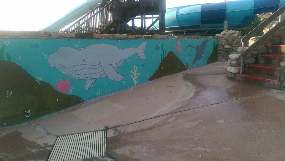 whale.jpg