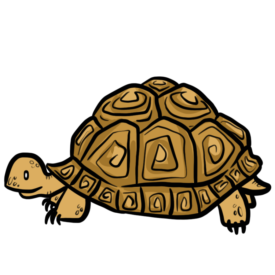 Untitled_Artwork (32).png