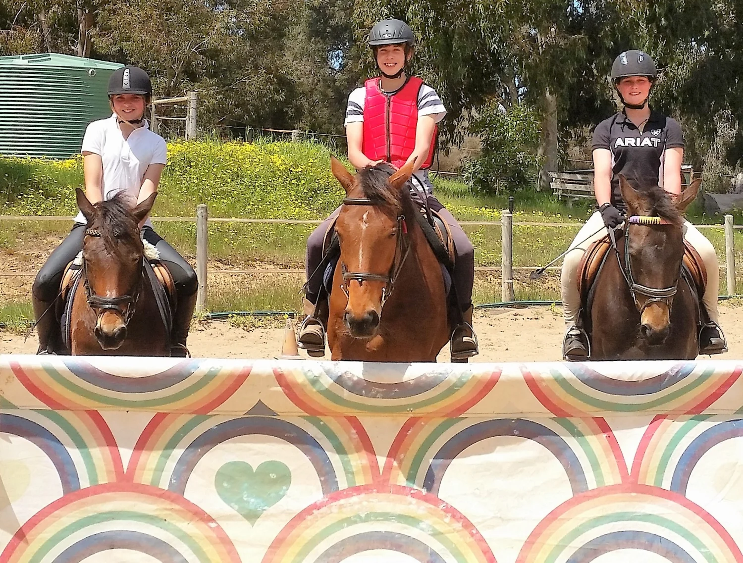 Zia Park: Horse Trail Riding, Horse Riding School, Horse Agistment