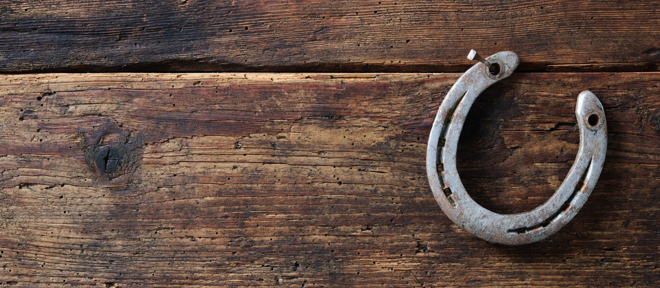 horseshoe+-+resized.jpg