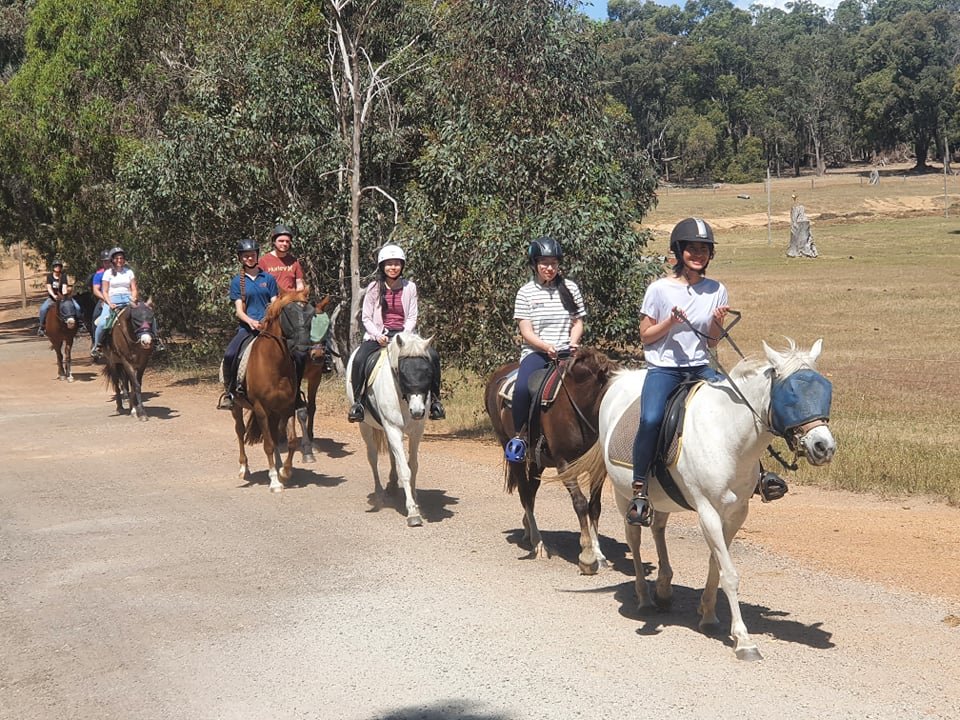 Trail Riding — Zia Park Equestrian Centre
