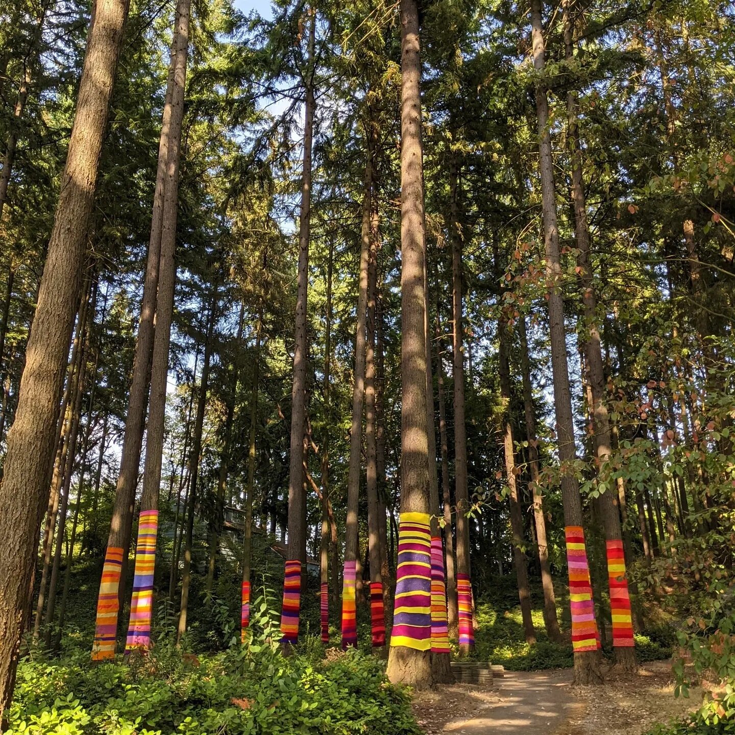 Came across this magical art installation/yarn bomb today at #dottieharperpark.  Thank you SO much fiber artist #suzannetidwell (and your helpers)! You have made so many people happy with your colorful trees! ❤️💛🧡💜💗

https://b-townblog.com/2021/0