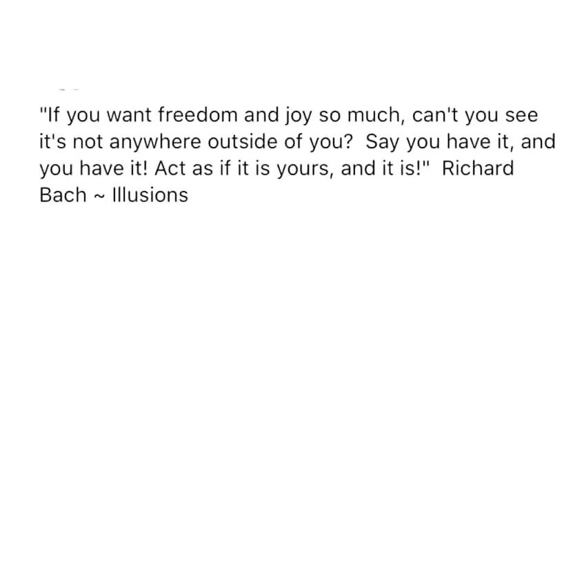 Imagine freedom and joy. ✨ Make it yours. ✨ #circlesaregood #quote #richardbach #freedom #joy
