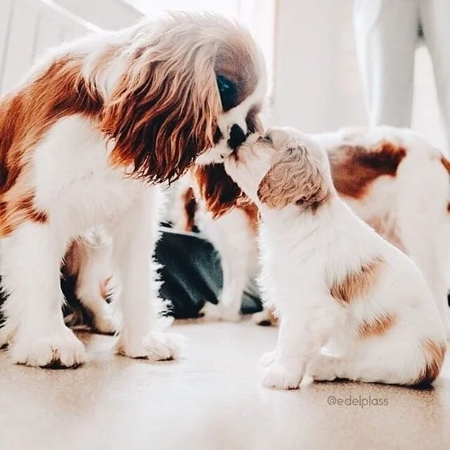 Happy Holidays

I hope you all have the opportunity to spend quality time with your family and friends 💚💚