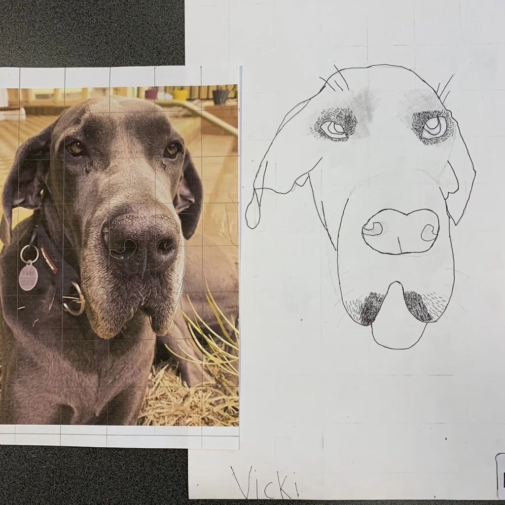 Vonda Youngman Community Centre, Tamborine Mountain.