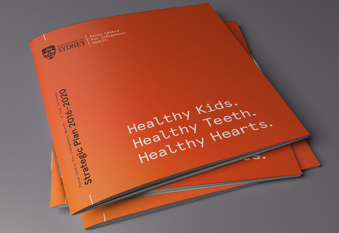 POCHE CENTRE FOR INDIGENOUS HEALTH BROCHURE
