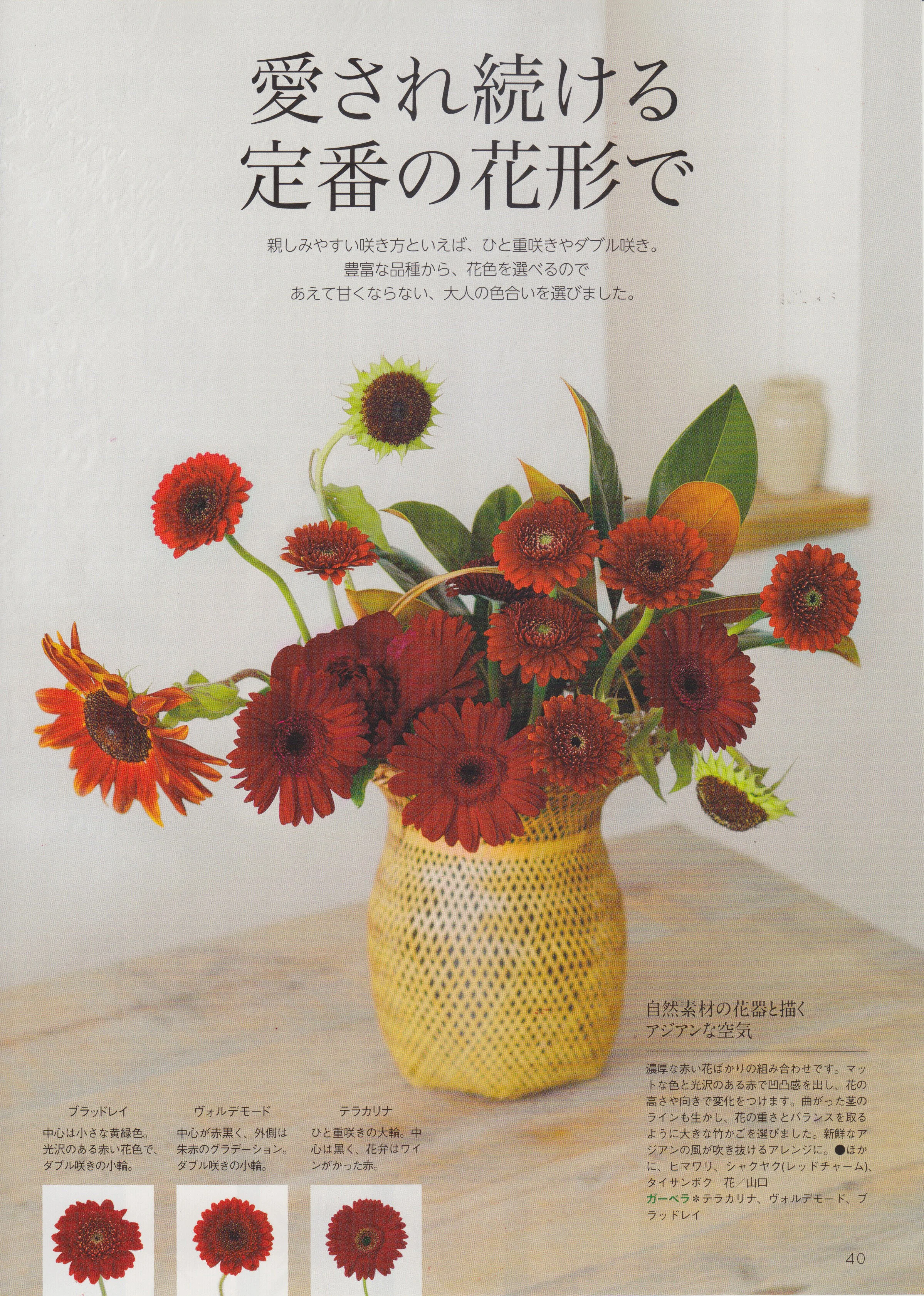 花時間_VEIN_03.jpg