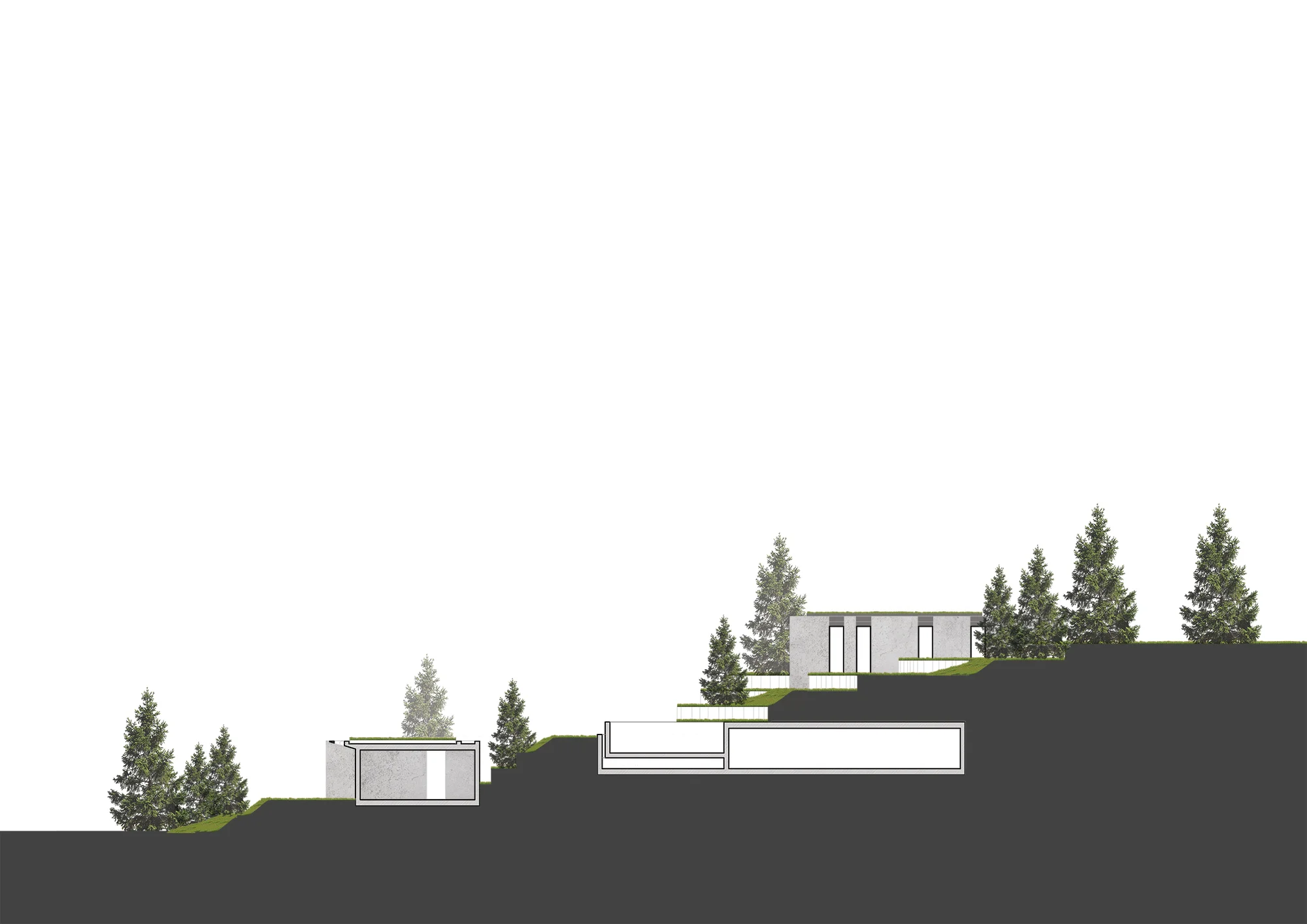 SECTION-001.jpg