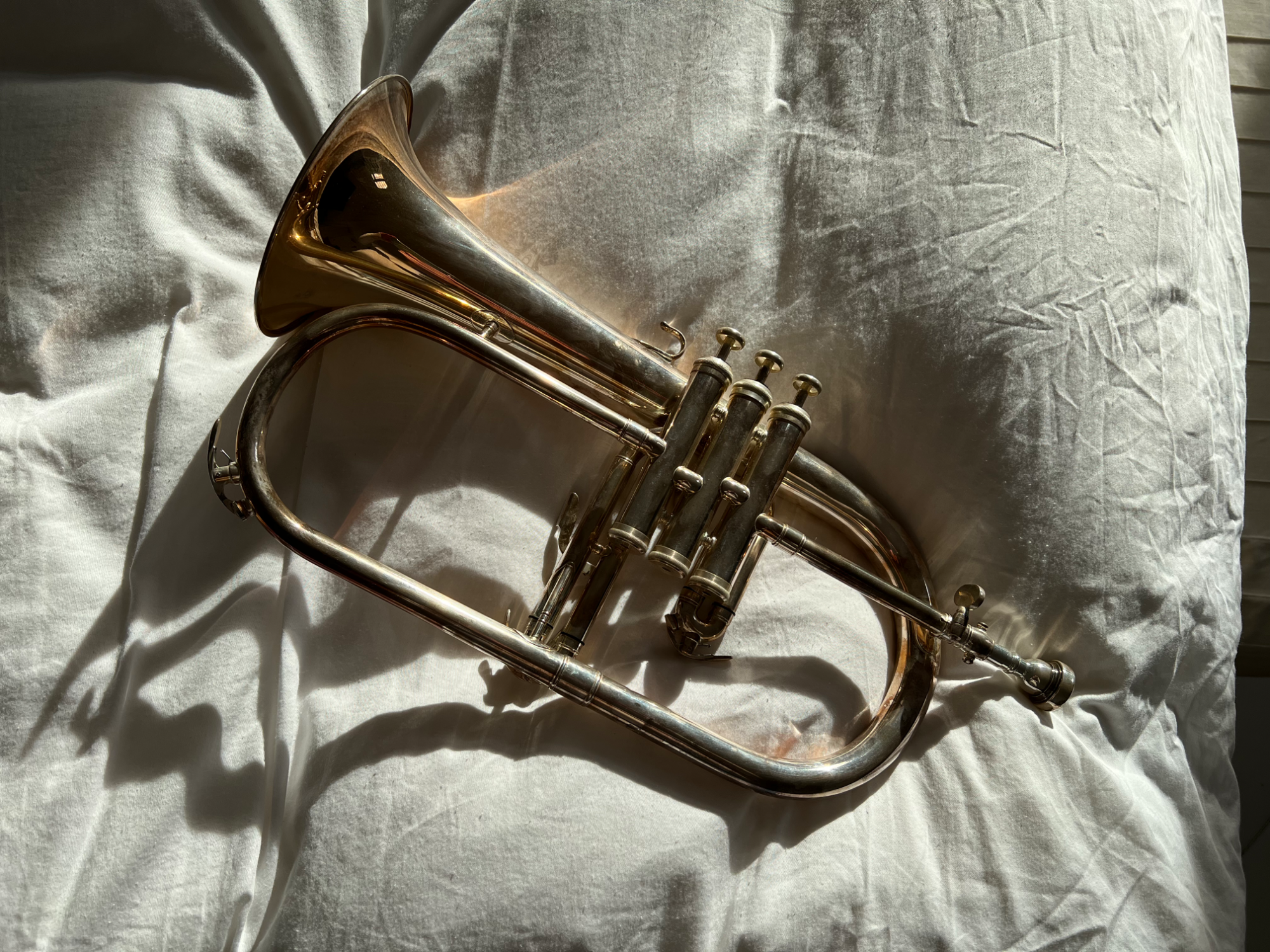 Fluegelhorn.png