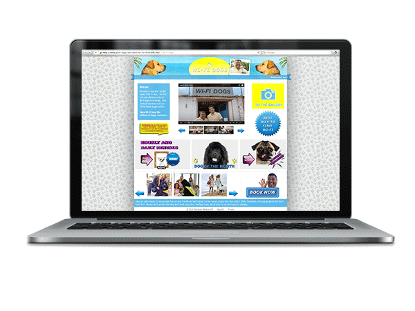 29ec5a17905119.562c0c746c96b.gif