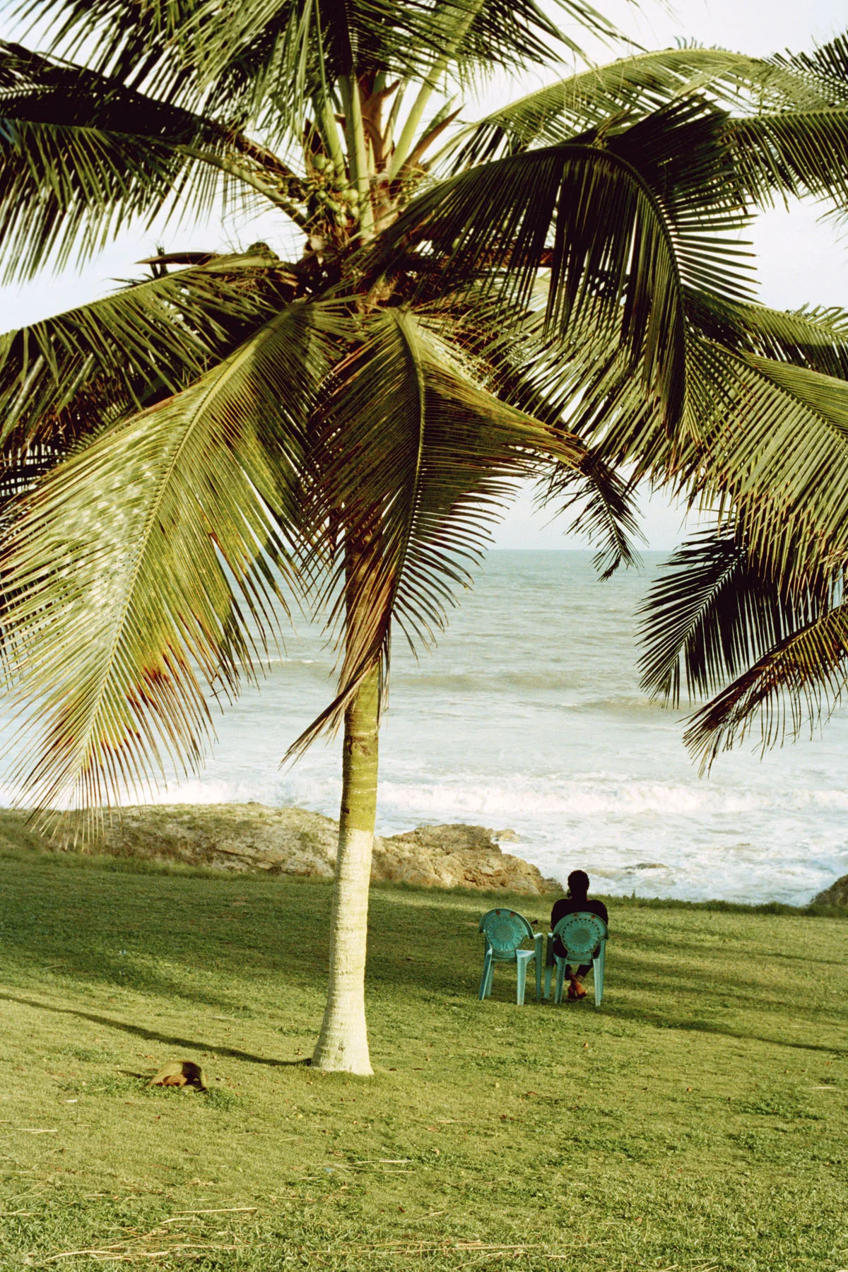 Aya Brace: Green Chairs