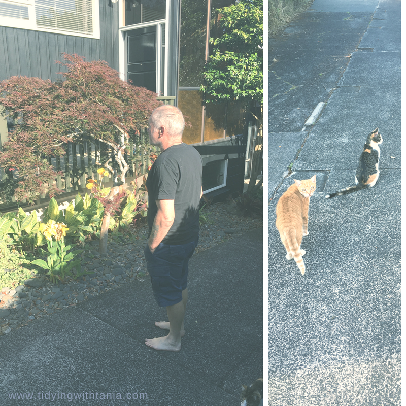 The "walk around" with helpers in tow