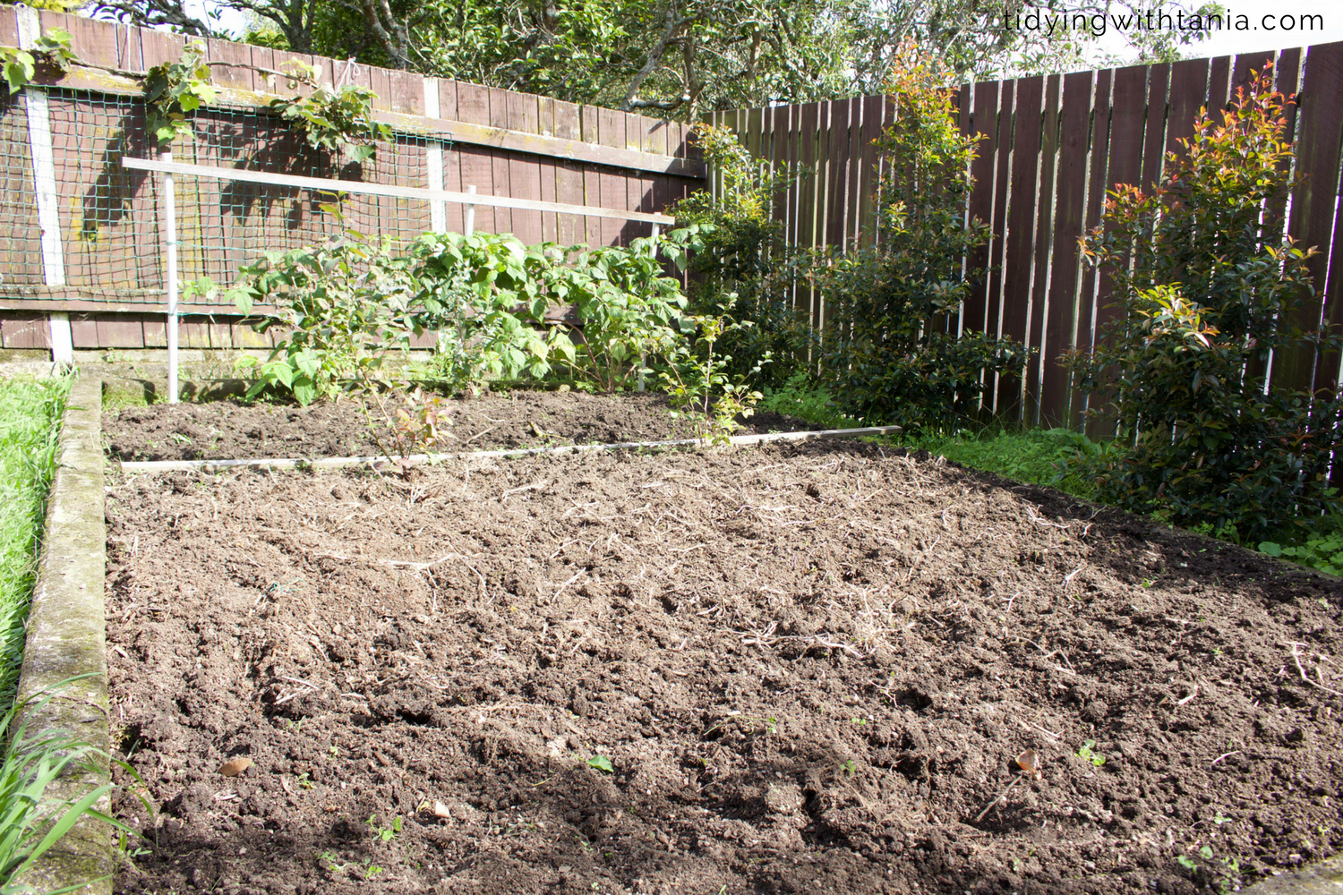fresh compost on the vege garden