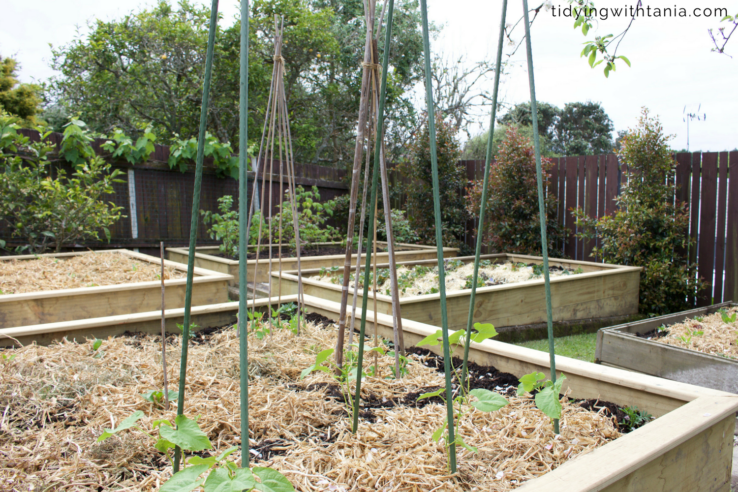 potager_garden.png