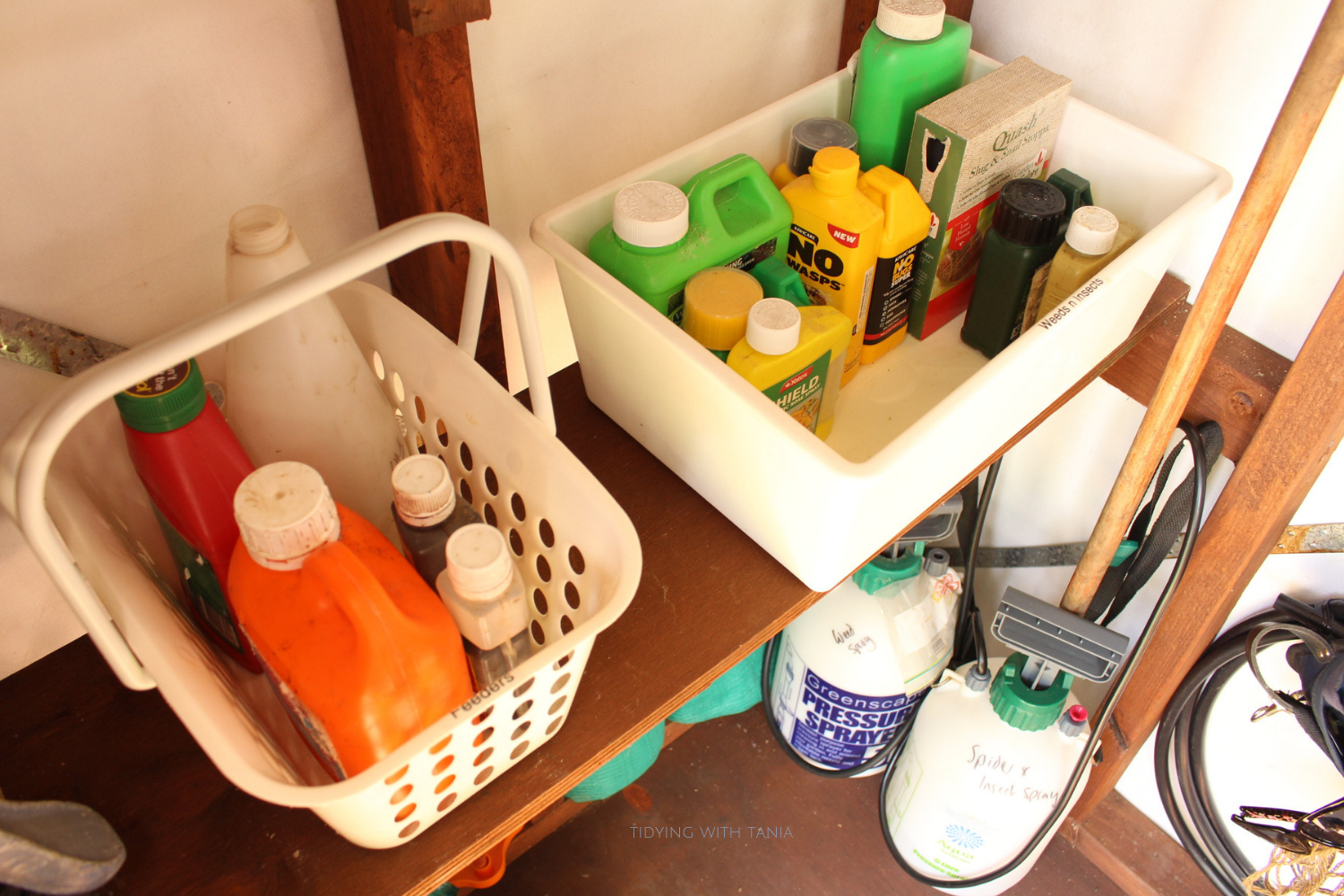 Garden Shed containers on shelf.png