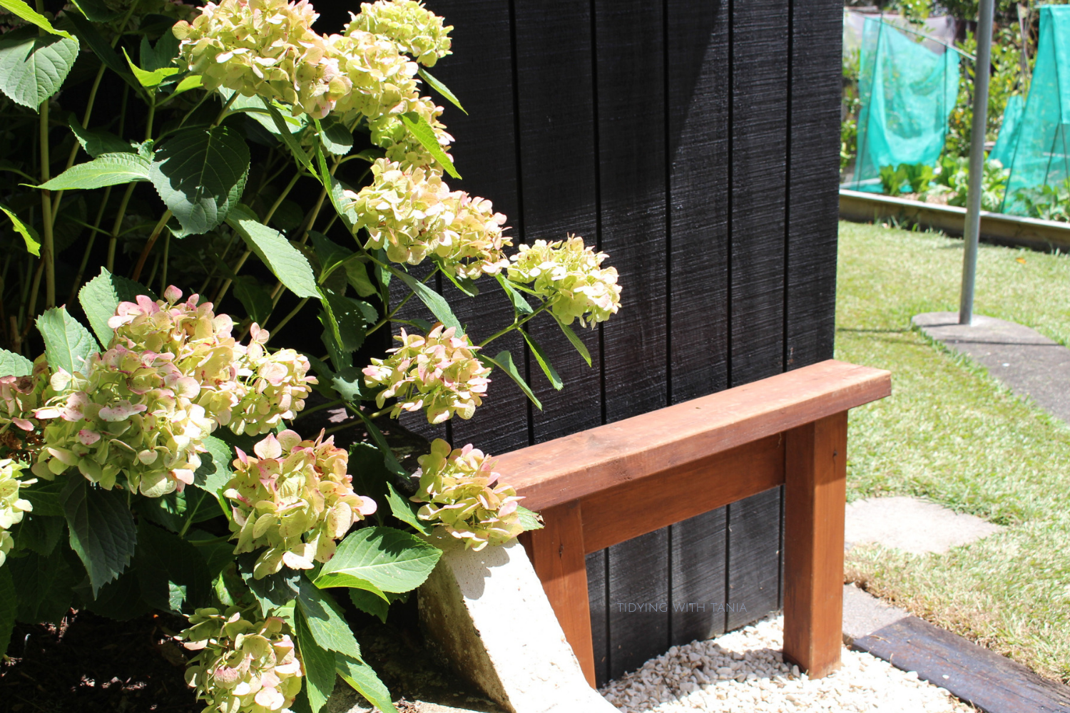 Garden Shed seat for cleaning tools.png