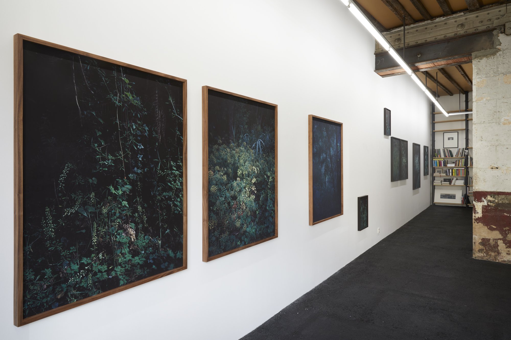 Galerie Arrêt sur l'image, Bordeaux, 2024