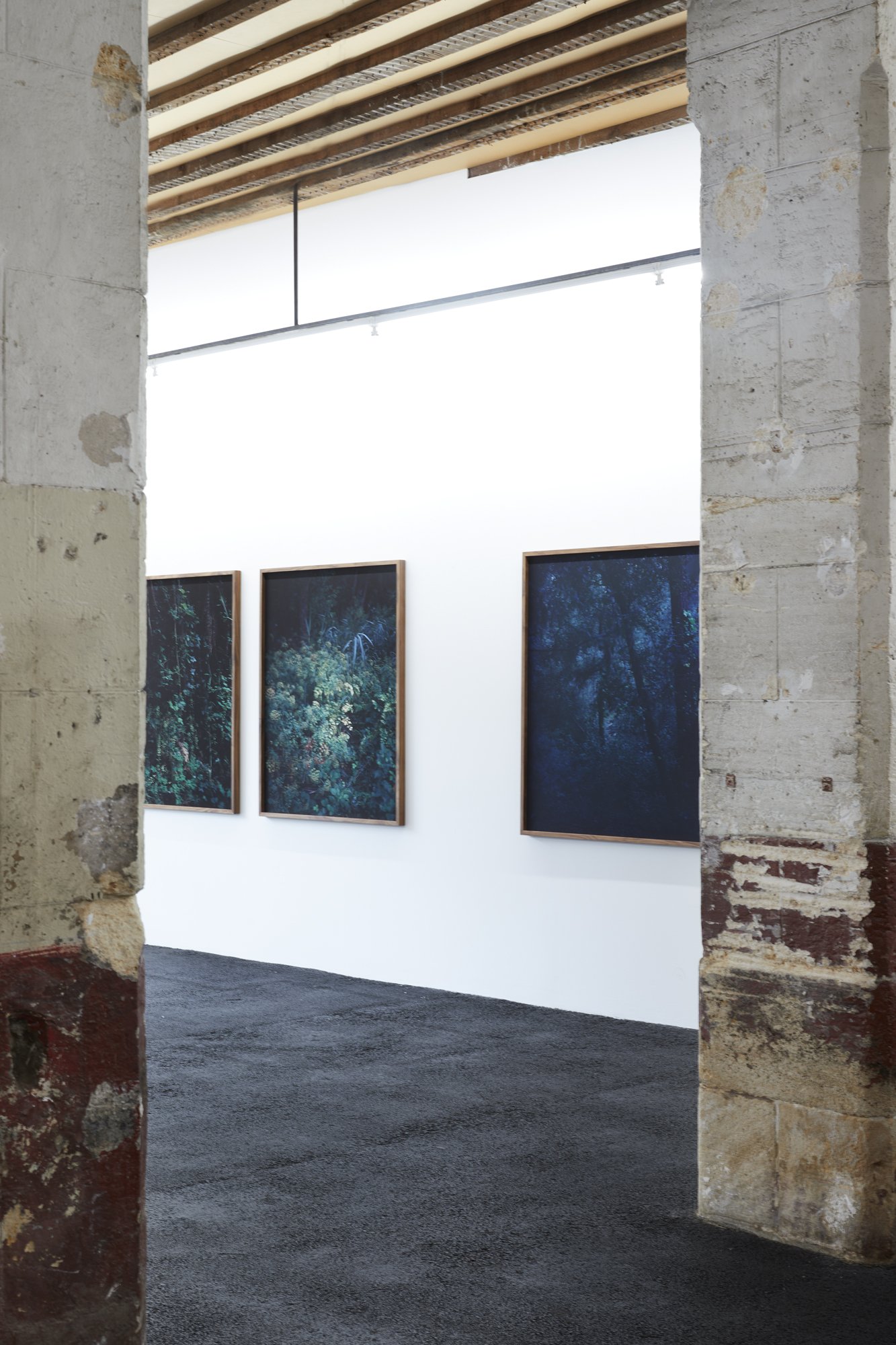 Galerie Arrêt sur l'image, Bordeaux, festival Itinéraires des photographes voyageurs, 2024
