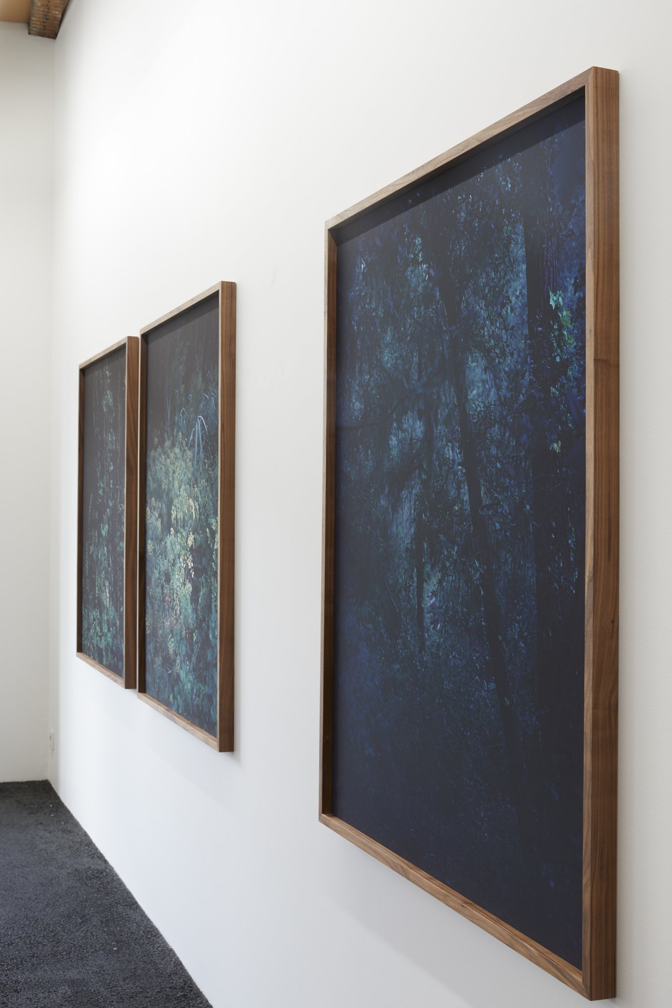Galerie Arrêt sur l'image, Bordeaux, avril 2024