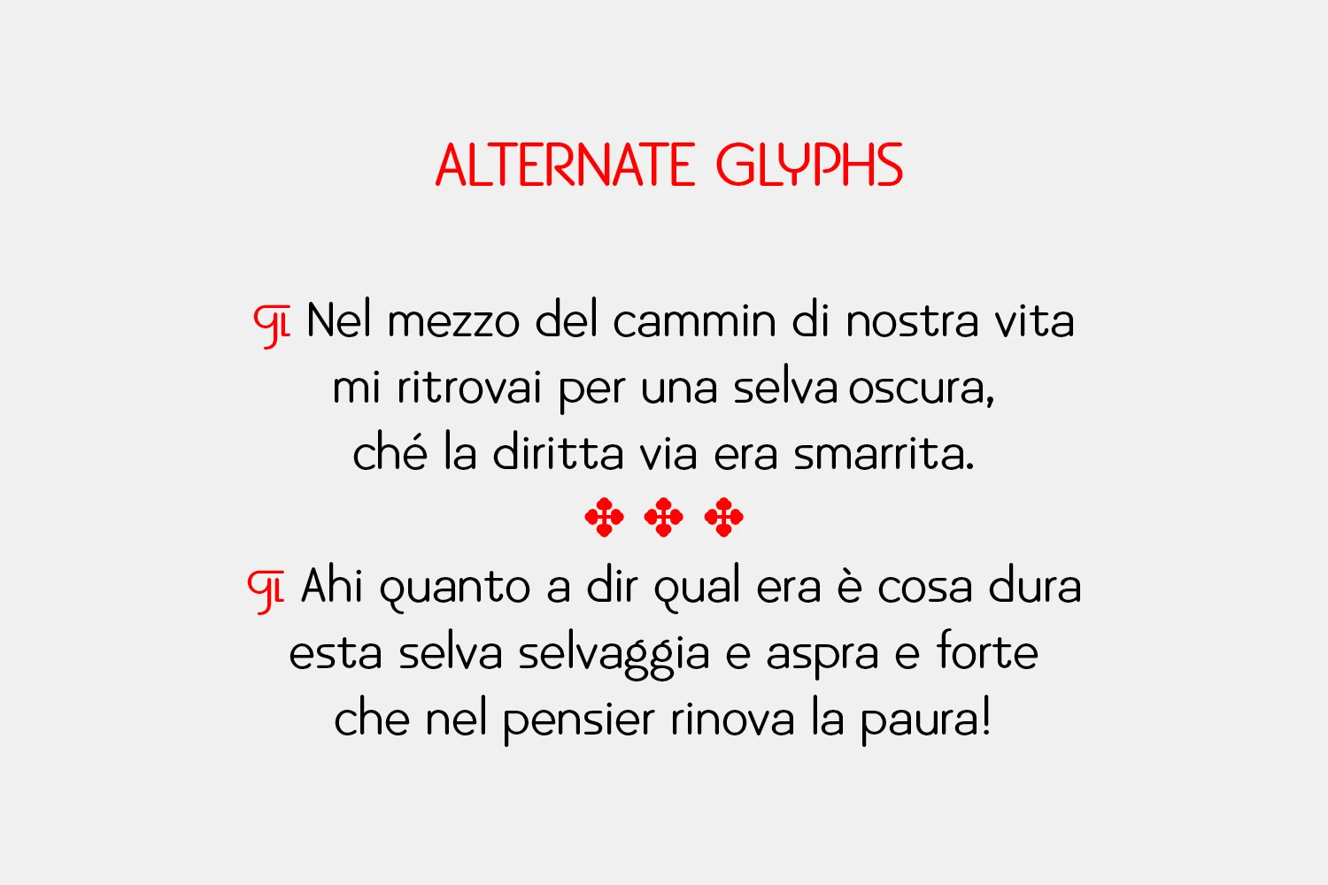 erikbertell_shop_bellissimo_6.jpg