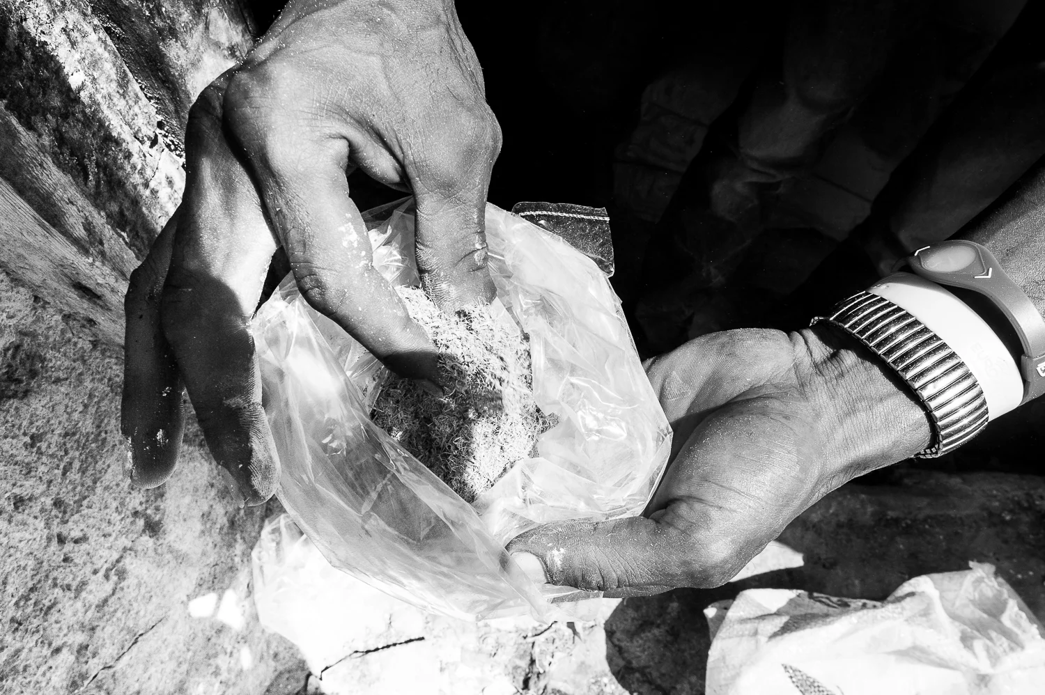 20120824-_DSC4047.jpg