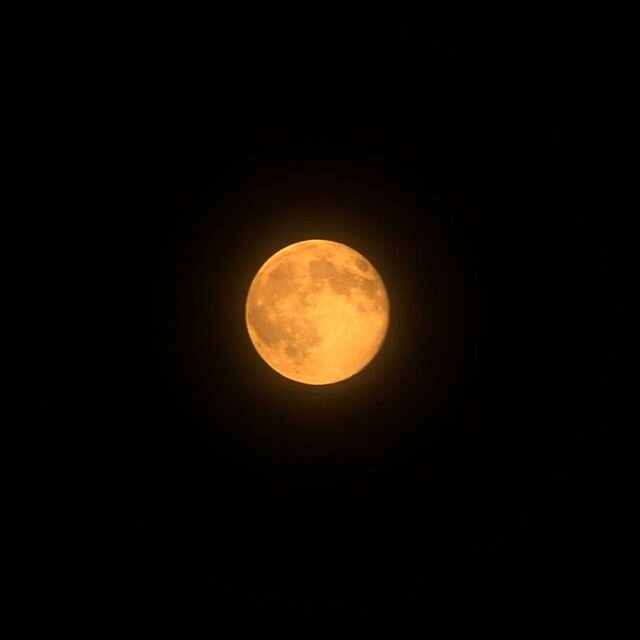 Goodnight Moon 🌕
.
.
.
#moon #moonphotography #moonphoto #goodnightmoon #nightphotography #nightphoto #nighttime #nighttimephotography #glowing #space #capture #lighting #aperture #photooftheday #dailyphoto #photography #photographylover #photo #nig