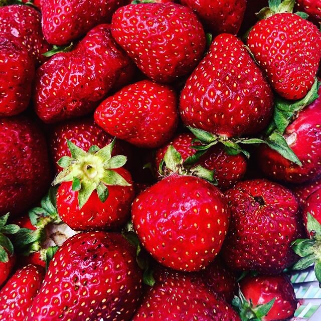 IT&rsquo;S 🍓🍓🍓 SEASON!! That means our Strawberry Shorty schmear is back for a limited time.  KY farm fresh strawberries/local honey and shortbread.  Great on anything...even fingers.