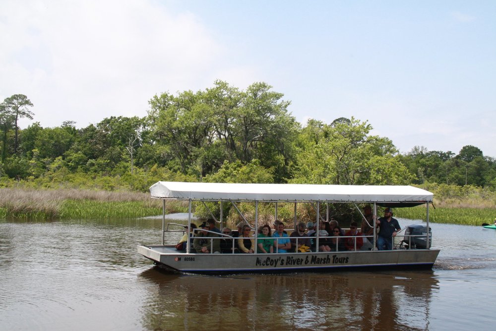pascagoula river audubon center mccoy's river and marsh tours.jpg