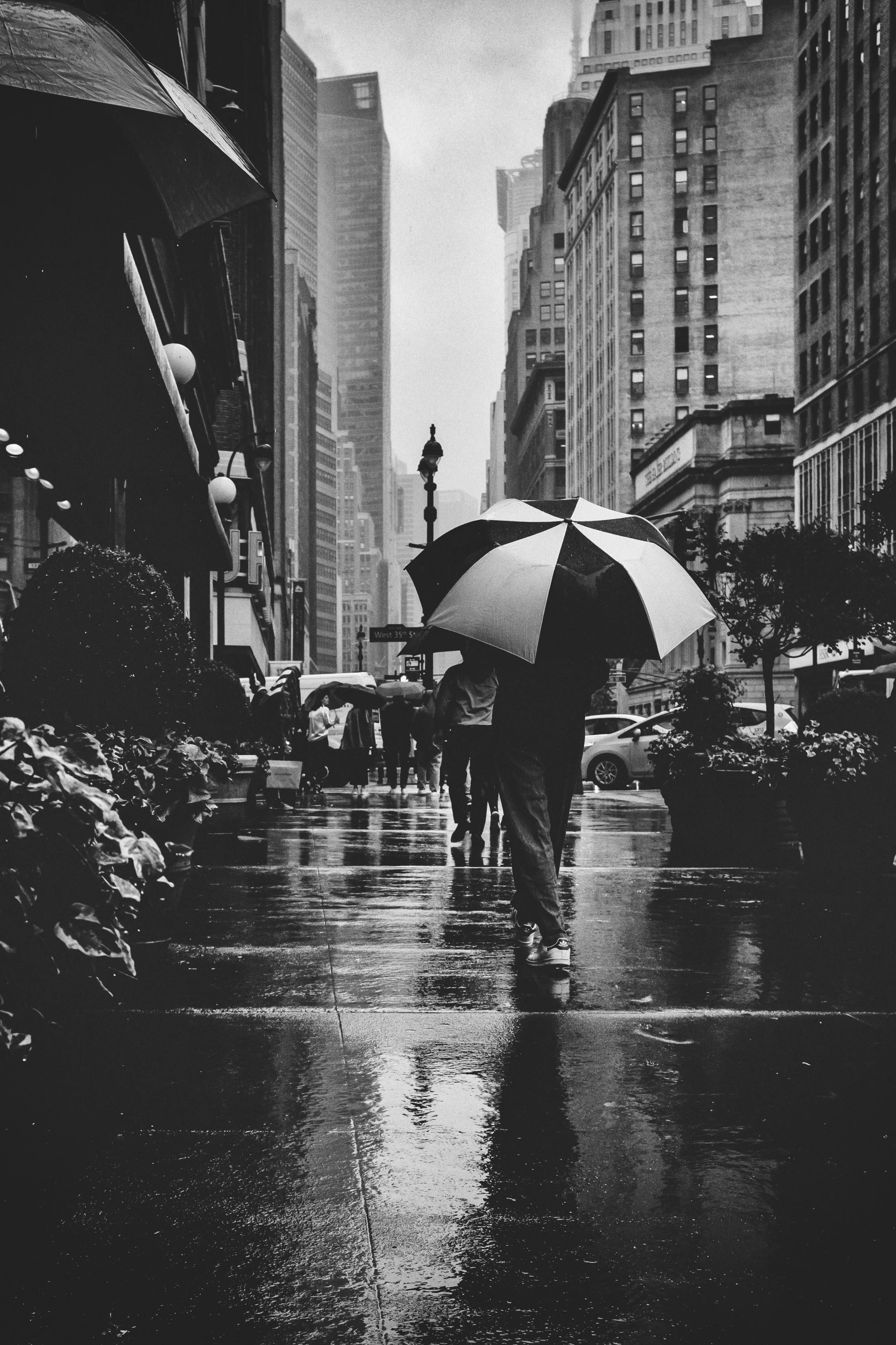 Umbrella