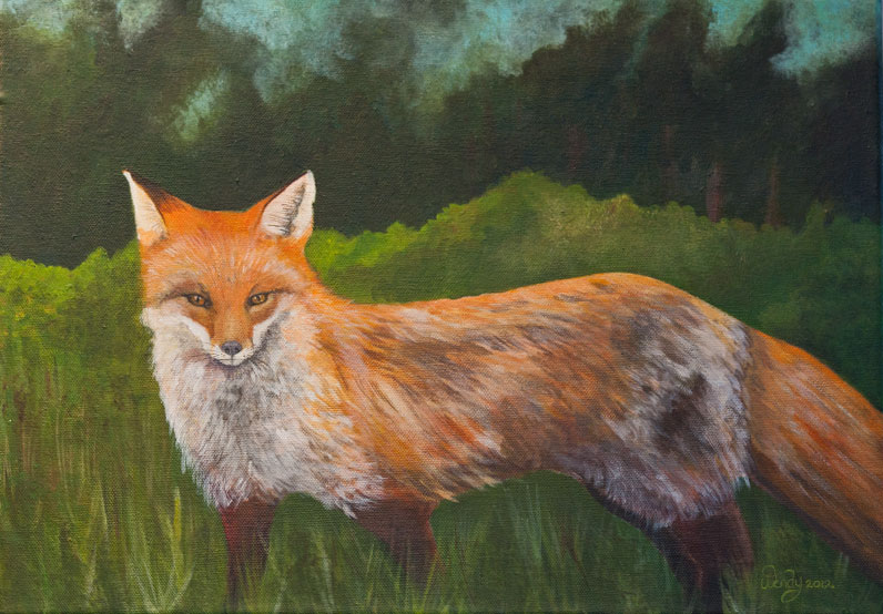 Listening ~ Red Fox. Acrylic on Canvas