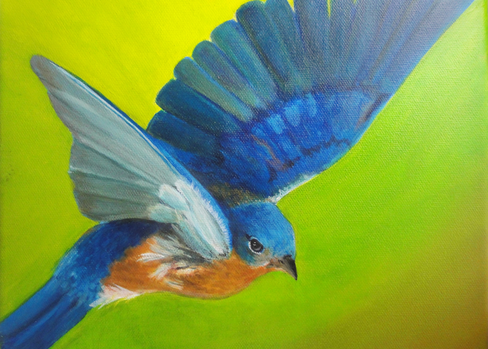 Bluebird of Happiness Acrylic on Canvas