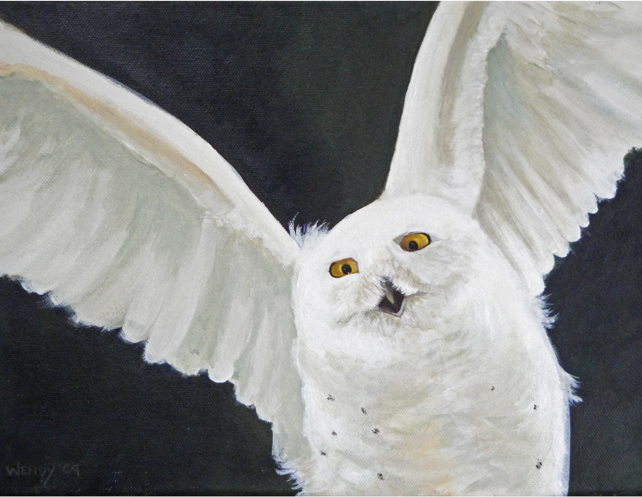 Funny Face ~ Snowy Owl Acrylic on Canvas
