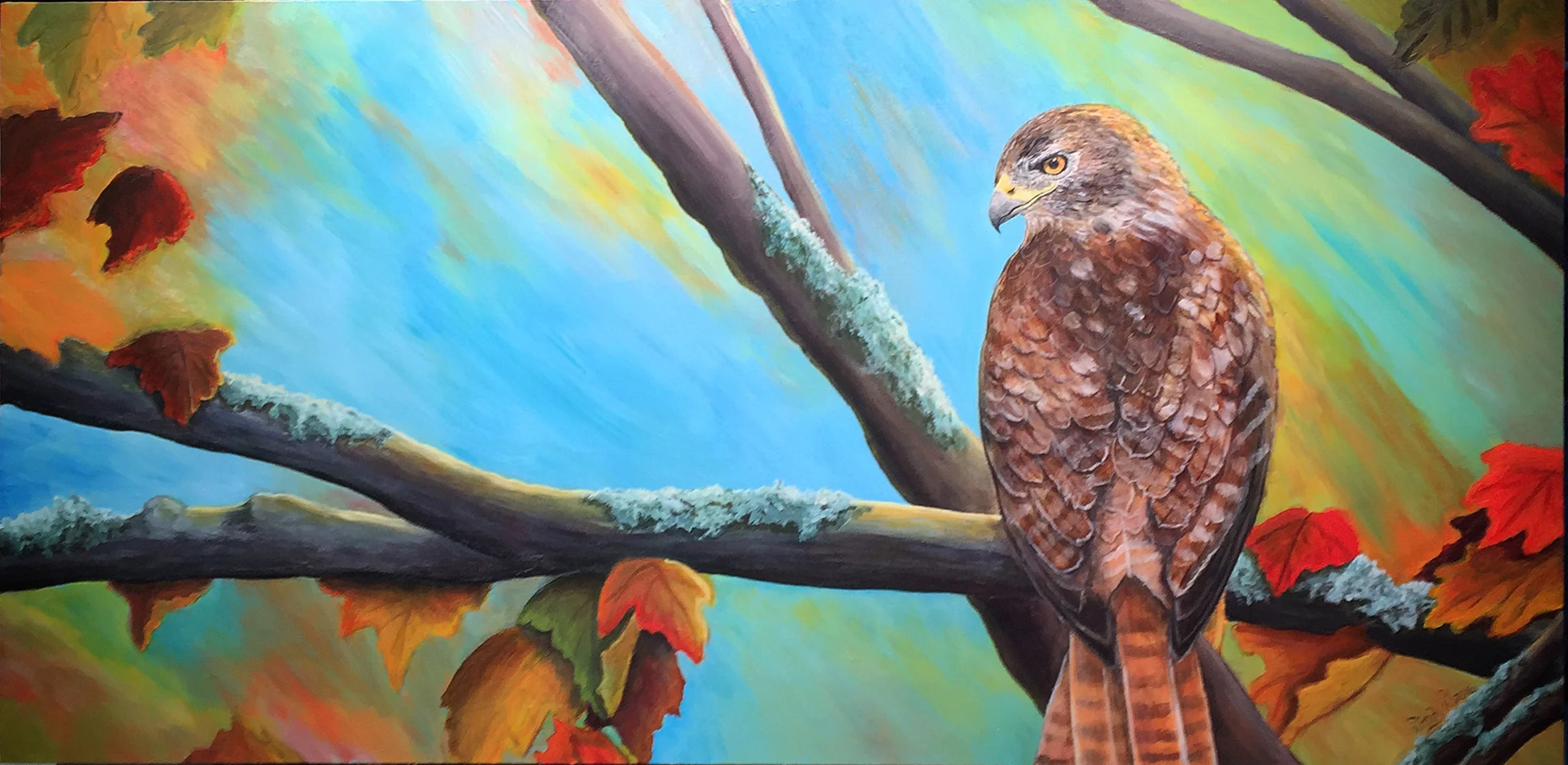 Sir Red Tail ~ Red Tailed Hawk Acrylic on Canvas