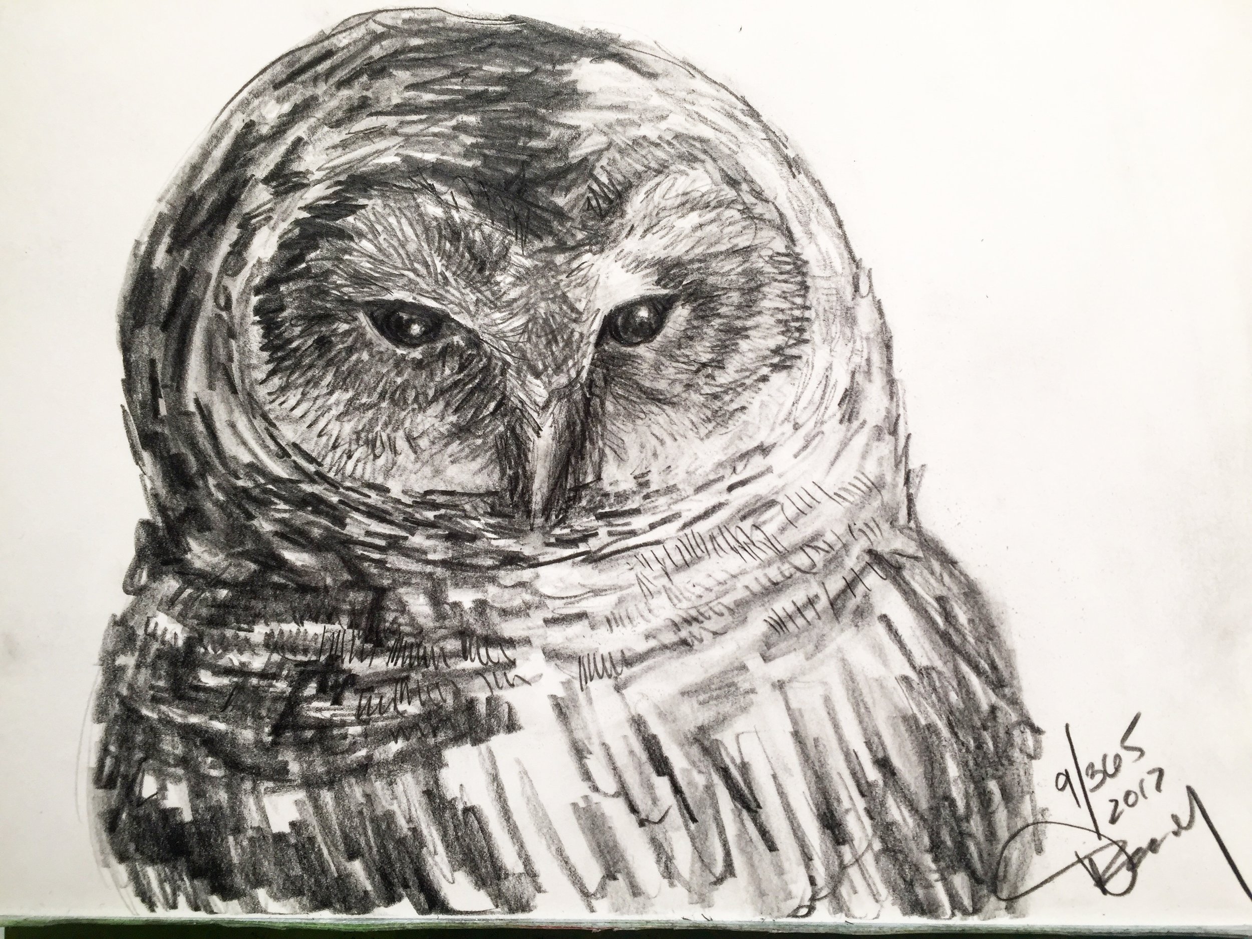 Part of my Art A Day Challenge of 2017. This is 9/365. Graphite.