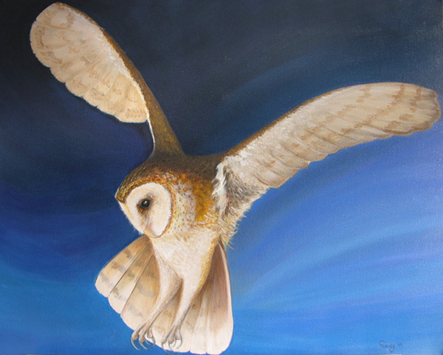 barnOwl 3.jpg