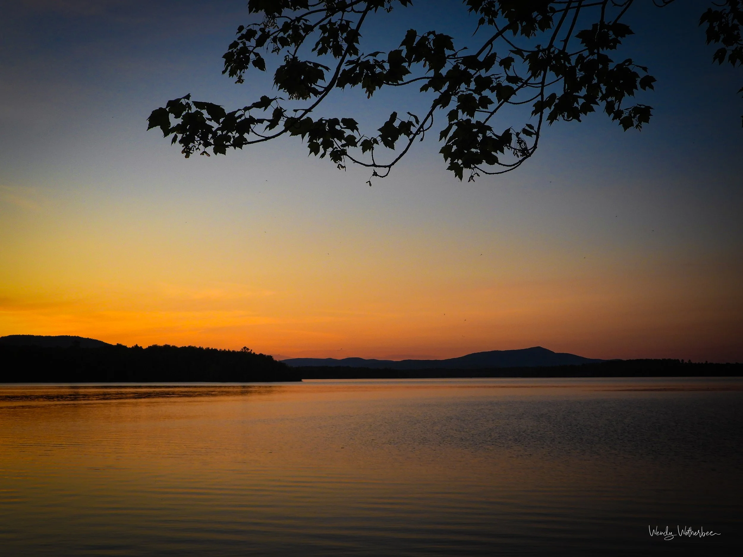 Evening View.jpg