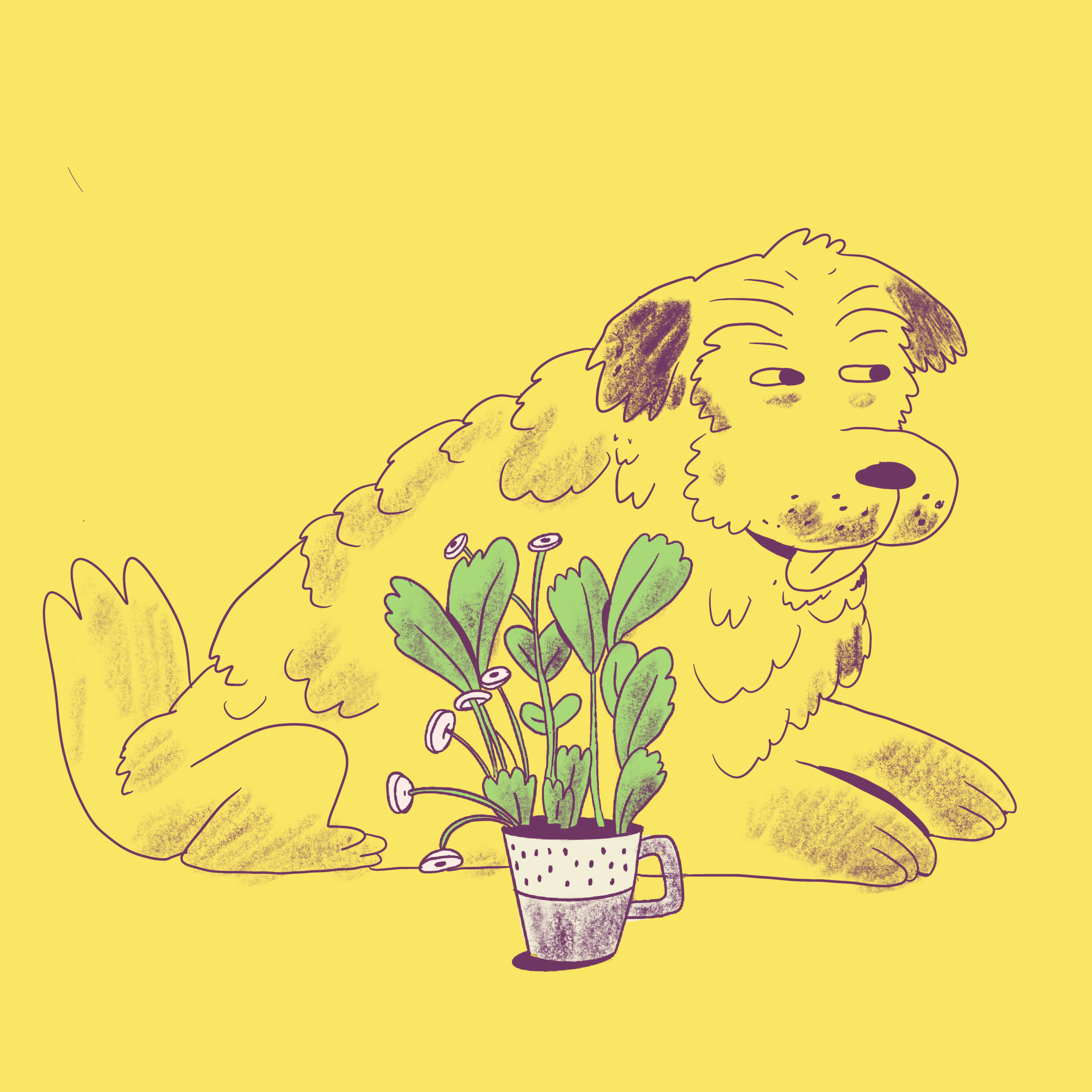 gg_illustration_dogs.png