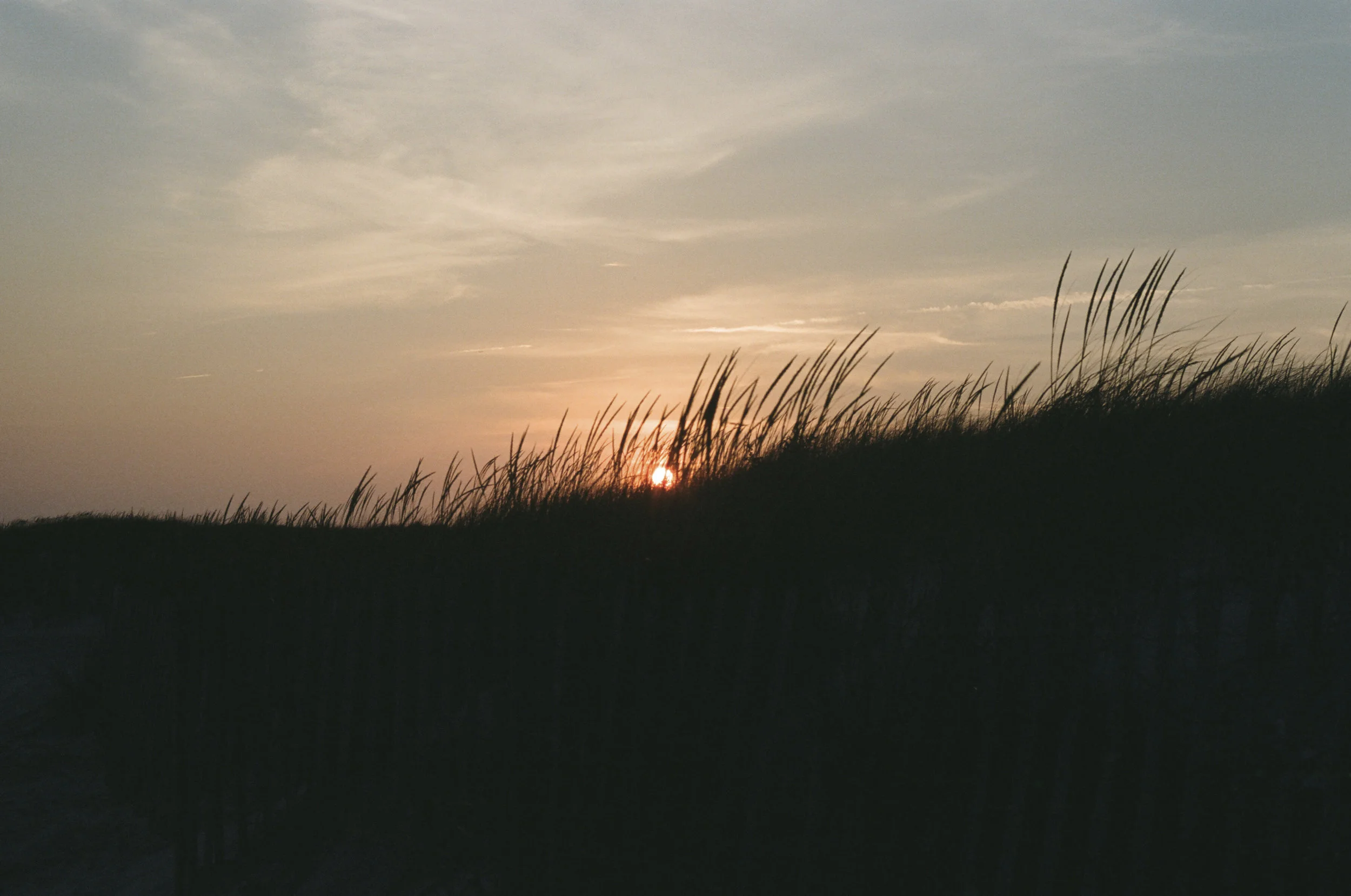 12050019.JPG
