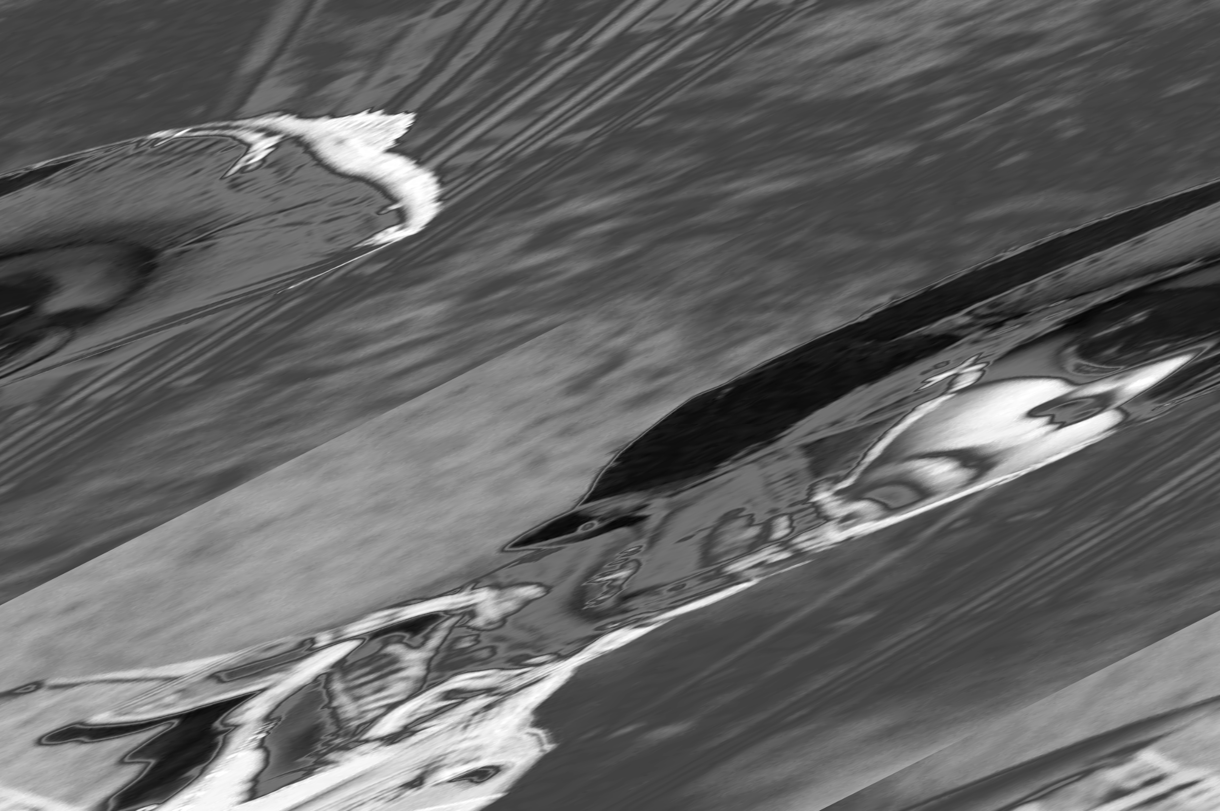 Screenshot 2024-11-08 at 1.59.23 PM.png