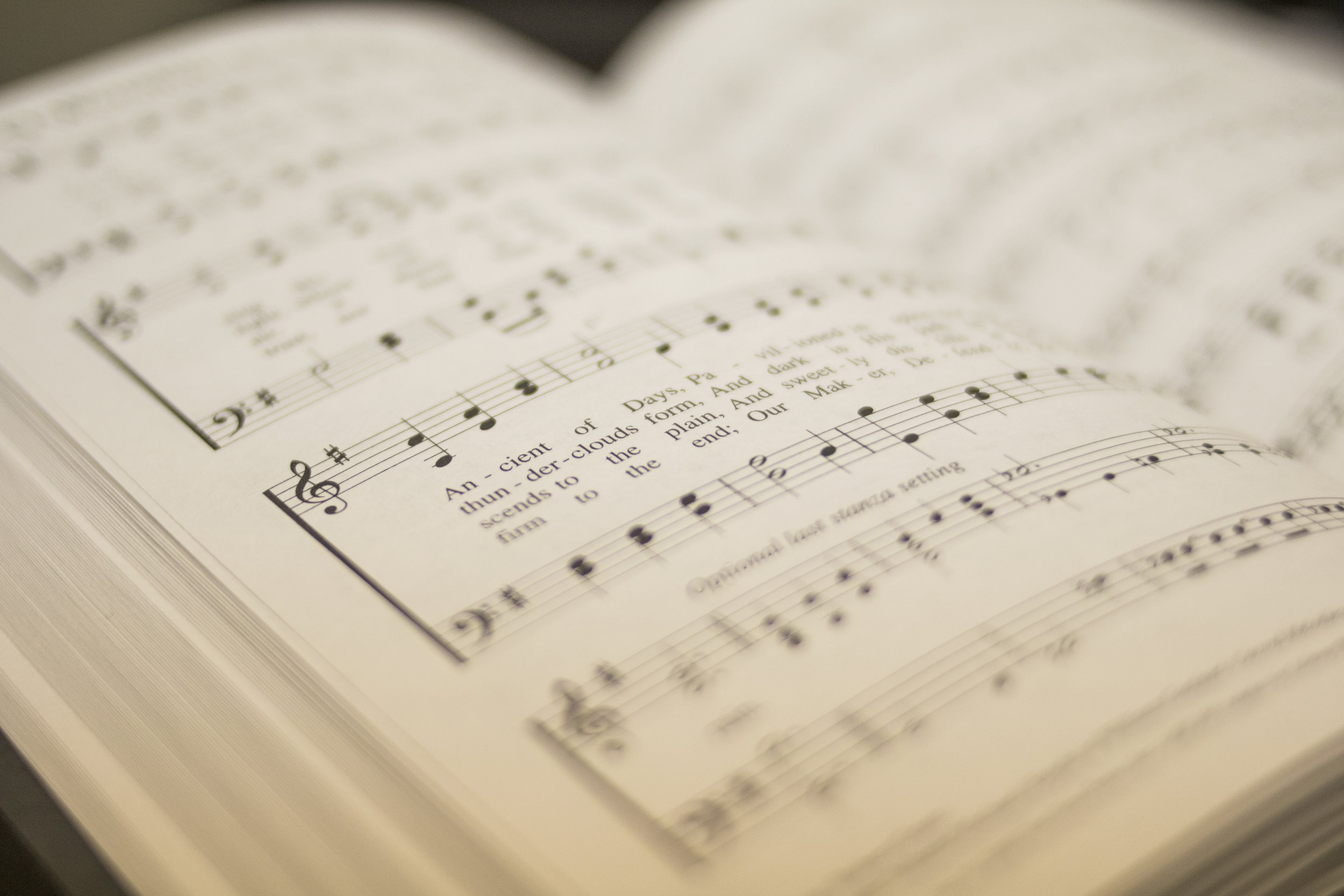 can you feel the love tonight pdf string quartet member can you feel the love tonight pdf string quartet member