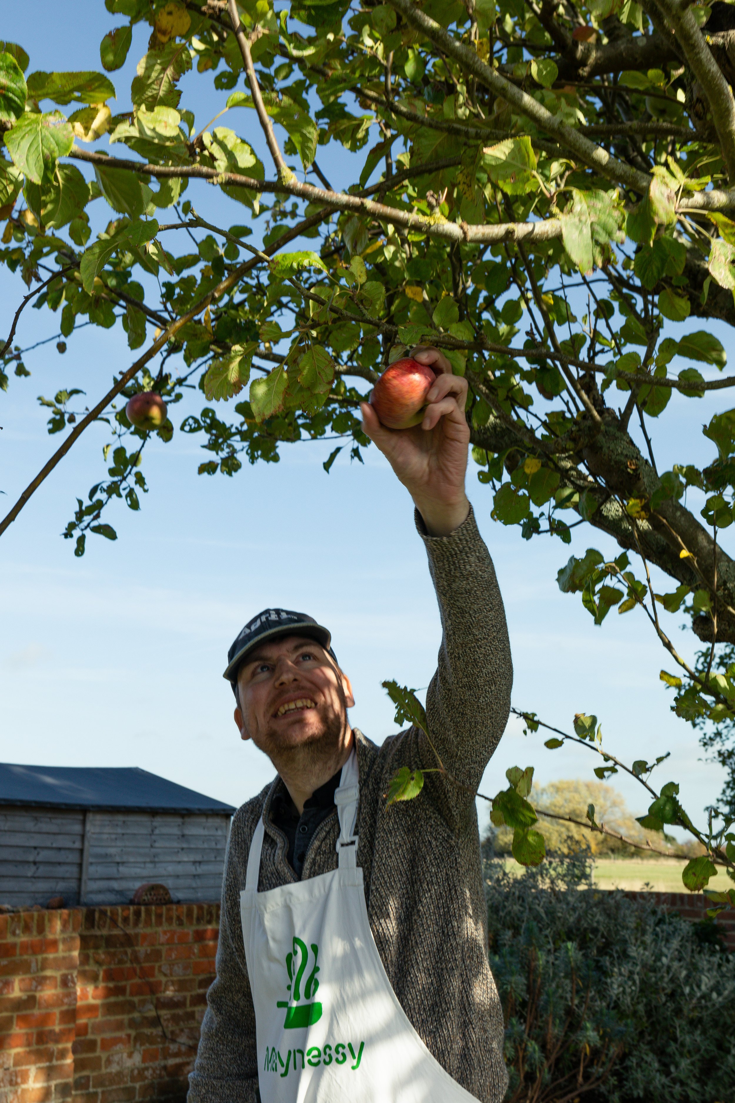 Ben picking apples .jpg