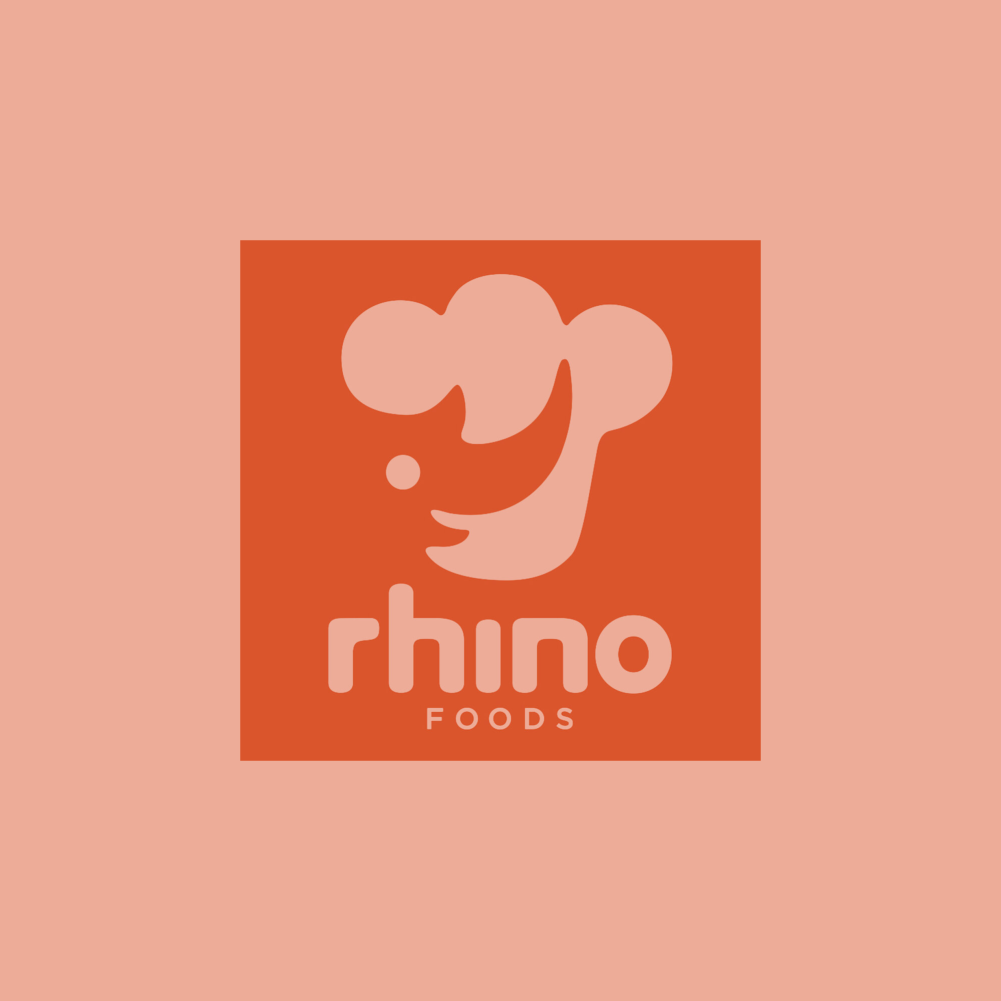 Rhino_1.jpg