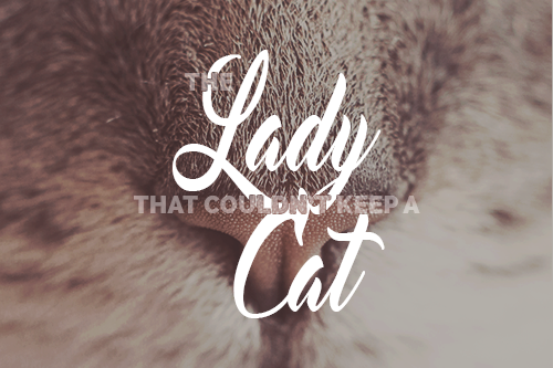 catlady.png