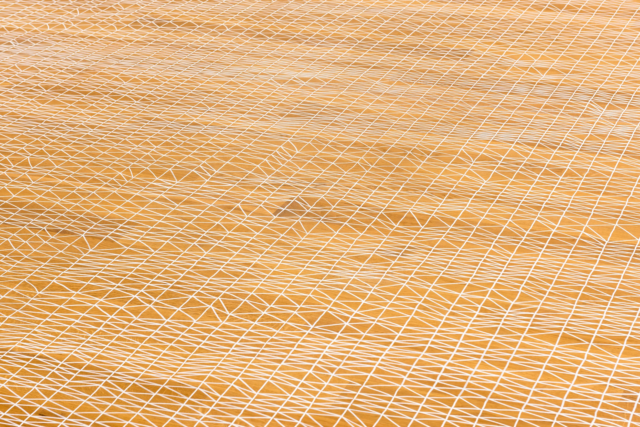 Site-specific drawing at Museum Wiesbaden