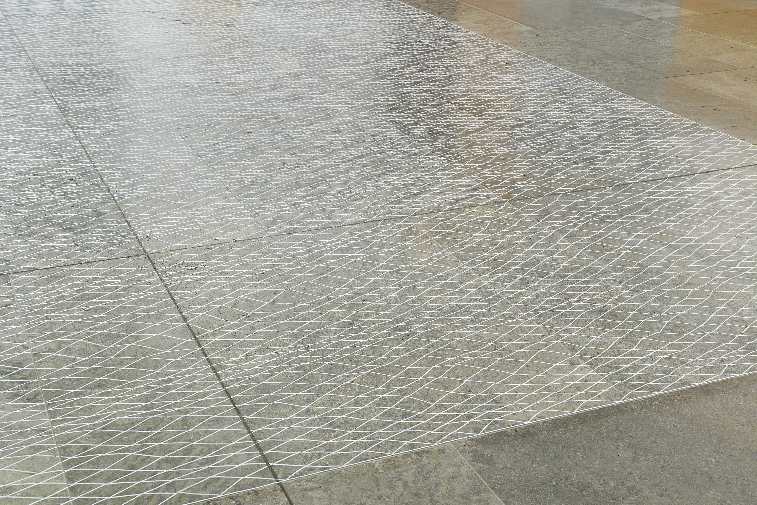 Site-specific drawing at the Museum of Fine Arts Leipzig